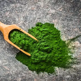 NeuroPrime ingredient Chlorella